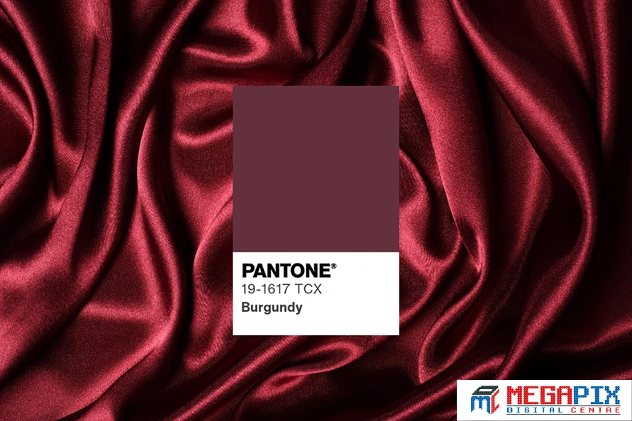 warna burgundy