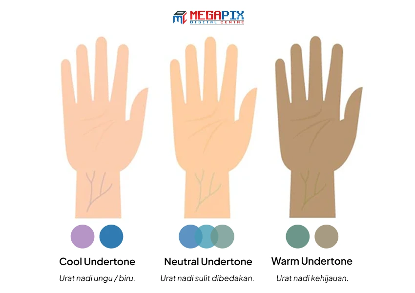ilustrasi undertone kulit
