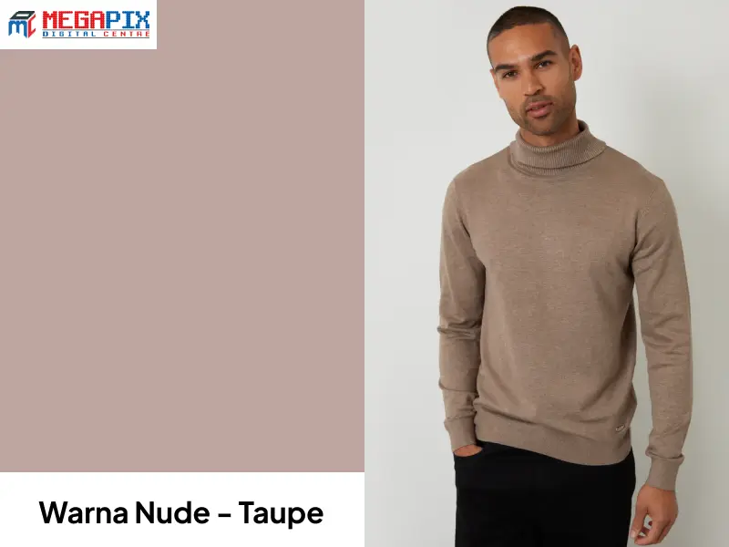contoh warna taupe pada baju